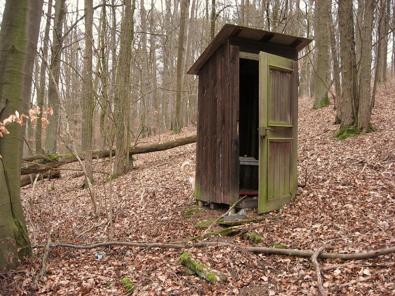 toilette