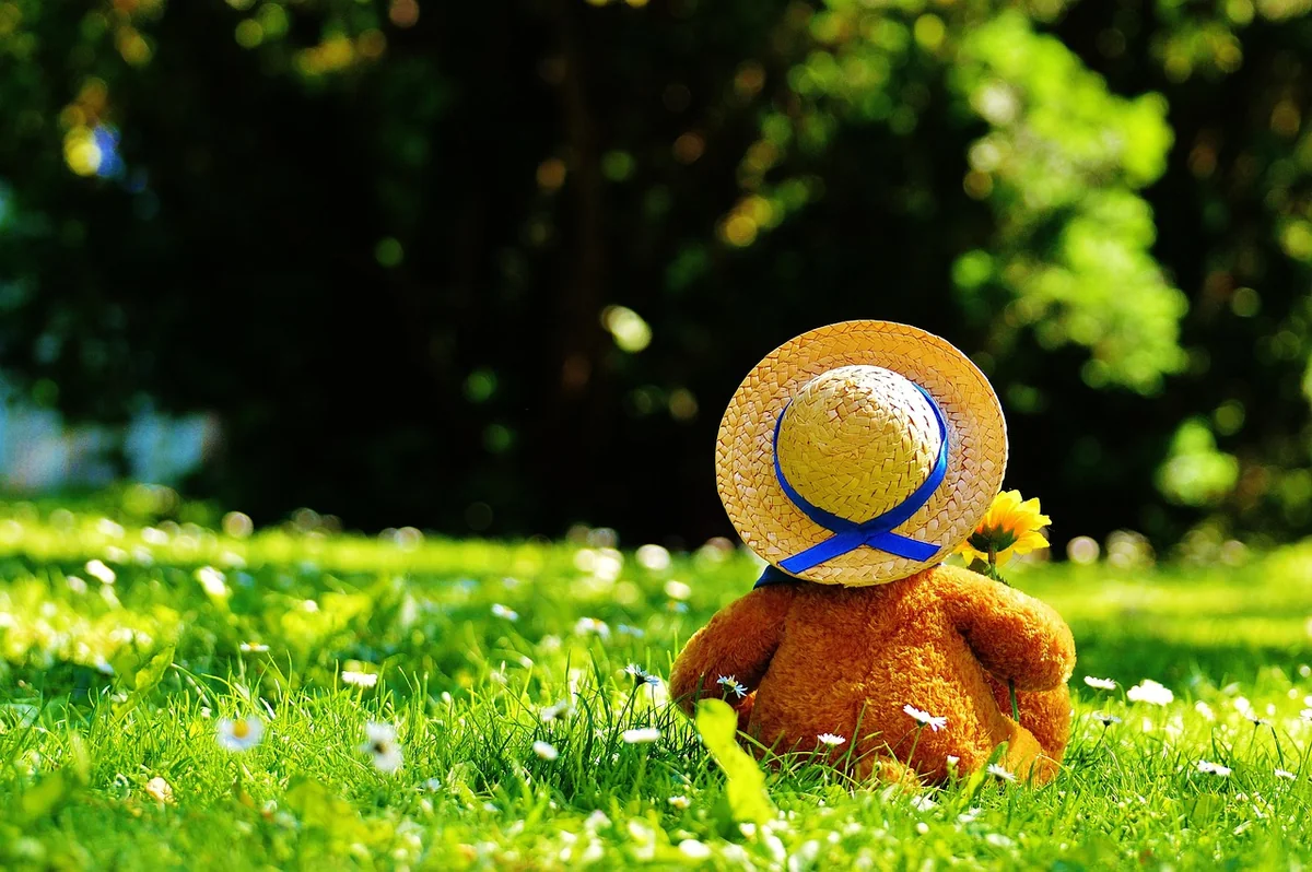 ours en peluche
