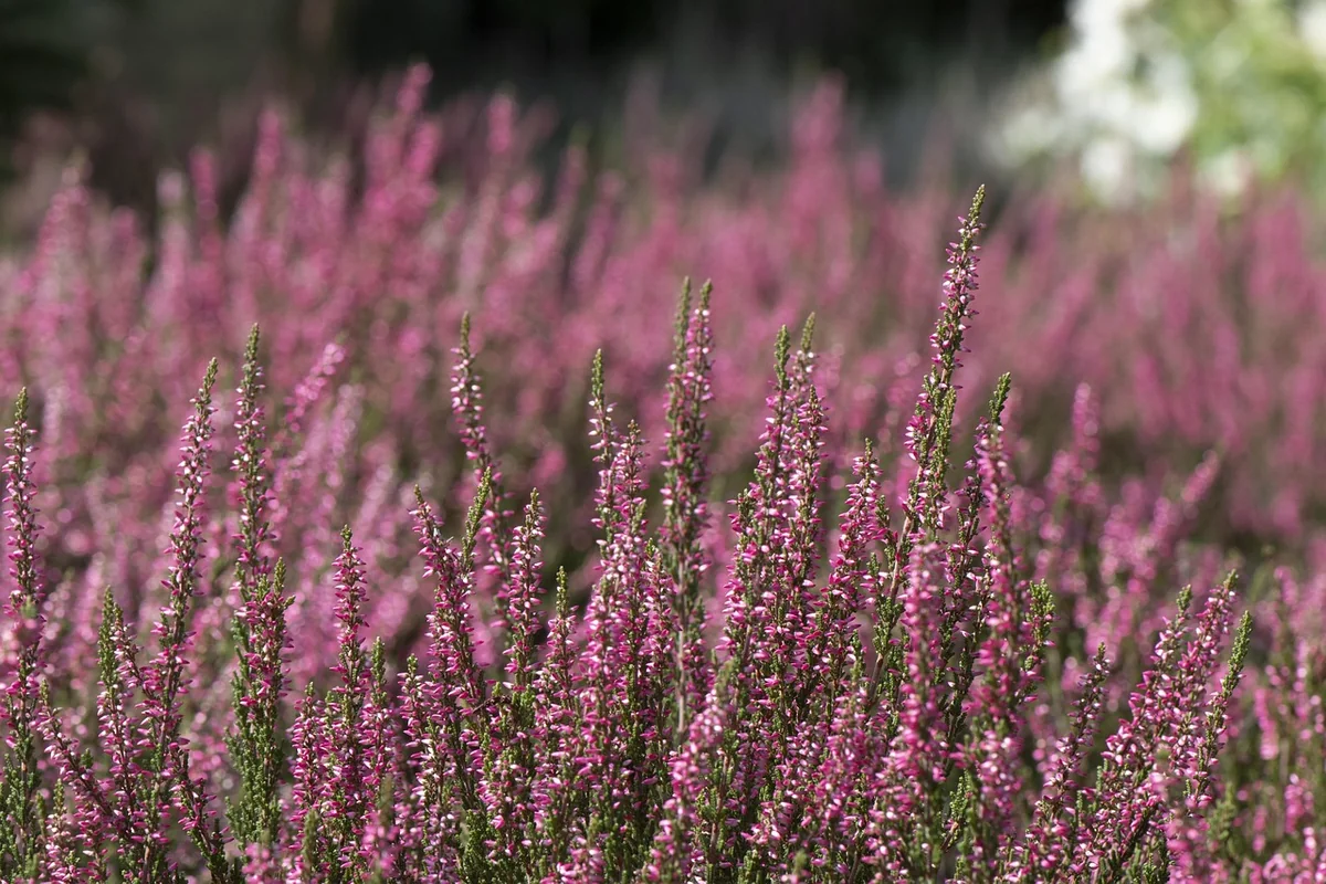Entretien et dépannage : ce qui coince dans le coin