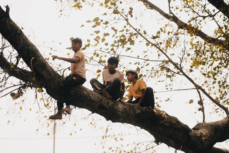 Les 3 erreurs qui tuent une cabane en carton